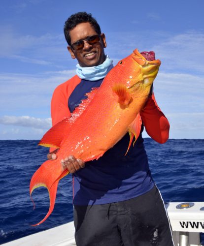 Croissant queue jaune par Gianni en pêche au jig - www.rodfishingclub.com - Rodrigues - Maurice - Océan Indien