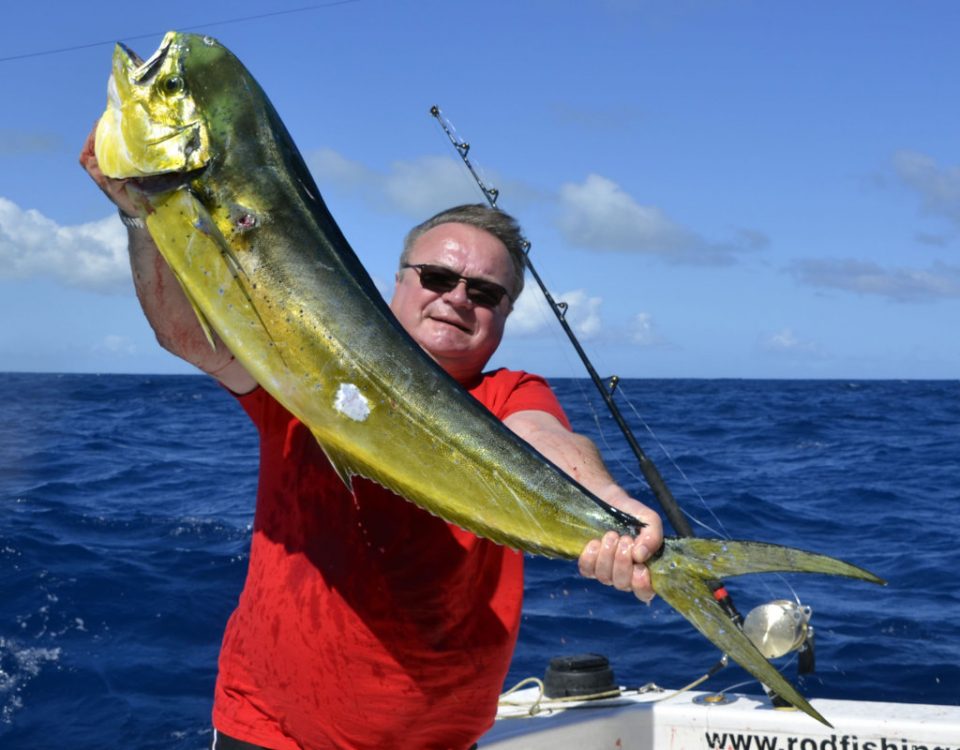 Dorade prise en pêche a la traîne - www.rodfishingclub.com - Ile Rodrigues - Maurice - Océan Indien