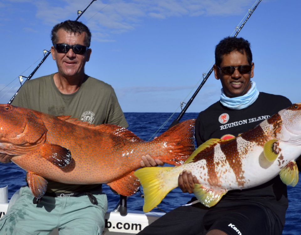 Double strike of grouper on jigging - www.rodfishingclub.com - Rodrigues - Mauritius - Indian Ocean