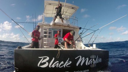 En combat sur Black Marlin - www.rodfishingclub.com - Ile Rodrigues - Maurice - Océan Indien