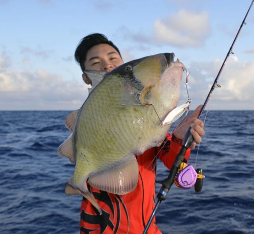 Good balistoides viridescens on slow jigging - www.rodfishingclub.com - Rodrigues - Mauritius - Indian Ocean