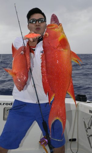 Good double stike of moontail bass on slow jigging - www.rodfishingclub.com - Rodrigues - Mauritius - Indian Ocean