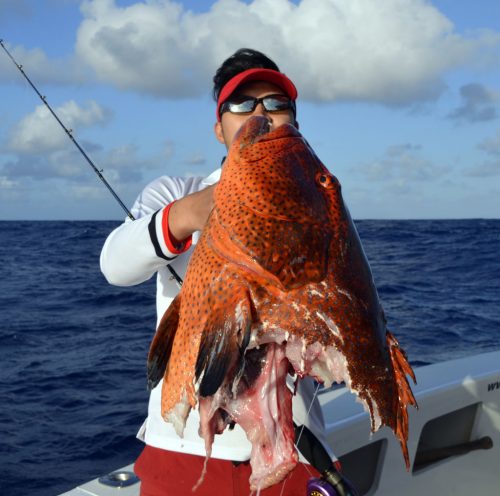 Head of red corail trout on slow jigging - www.rodfishingclub.com - Rodrigues - Mauritius - Indian Ocean