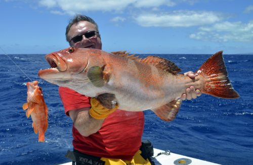 Mérou babone pris en pêche a l'appât - www.rodfishingclub.com - Ile Rodrigues - Maurice - Océan Indien