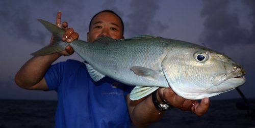 Poisson poulet pris en slow jigging - www.rodfishingclub.com - Rodrigues - Maurice - Océan Indien