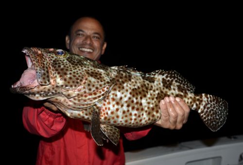 Spotted grouper on jigging by Daniel - www.rodfishingclub.com - Rodrigues - Mauritius - Indian Ocean