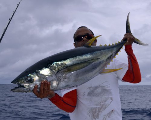 Thon jaune en heavy spinning par Daniel - www.rodfishingclub.com - Rodrigues - Maurice - Océan Indien