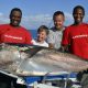 89.5kg Potential WORLD RECORD Dogtooth tuna small fry on baiting - www.rodfishingclub.com - Rodrigues Island - Mauritius - Indian Ocean -
