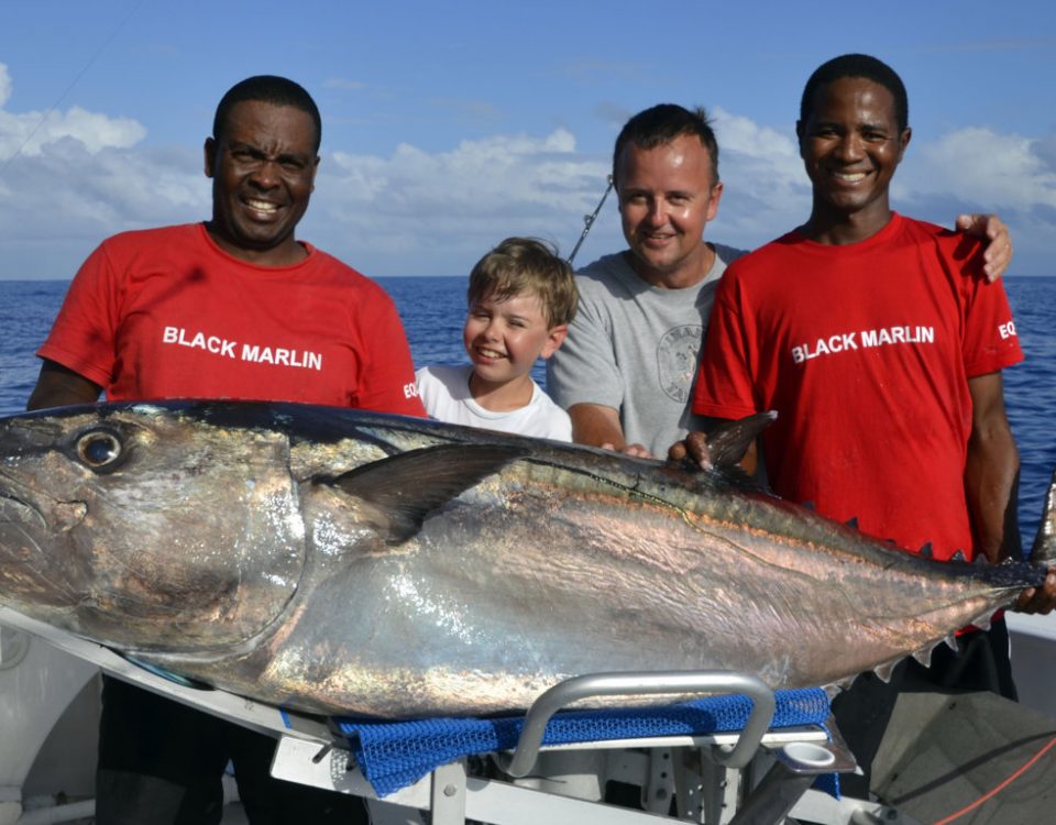 89.5kg Potential WORLD RECORD Dogtooth tuna small fry on baiting - www.rodfishingclub.com - Rodrigues Island - Mauritius - Indian Ocean -