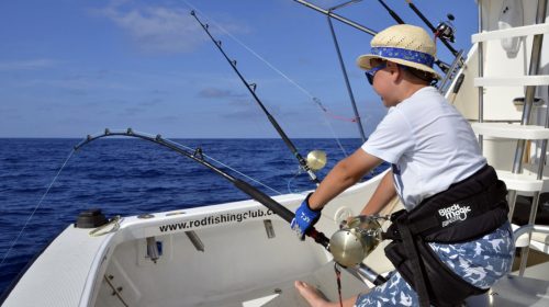 89.5kg Potentiel RECORD DU MONDE thon dents de chien de en pêche à l'appât catégorie small fry - www.rodfishingclub.com - Ile Rodrigues - Maurice - Ocean Indien (FILEminimizer)