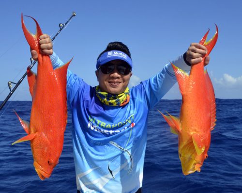 Doublé de croissant queue jaune en slow jigging - www.rodfishingclub.com - Rodrigues - Maurice - Océan Indien