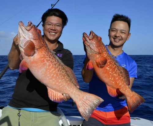 Doublé de mérous babone en slow jigging - www.rodfishingclub.com - Rodrigues - Maurice - Océan Indien