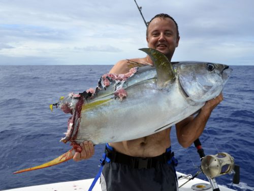 Thon jaune coupé par un requin en pêche a la traîne - www.rodfishingclub.com -Rodrigues - Maurice - Océan Indien