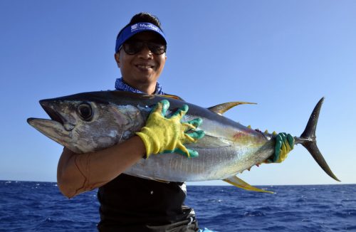 Yellowfin tuna on trolling - www.rodfishingclub.com - Rodrigues Island - Mauritius - Indian Ocean