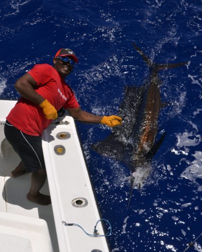 50kg sailfish on trolling - www.rodfishingclub.com - Rodrigues - Mauritius - Indian Ocean