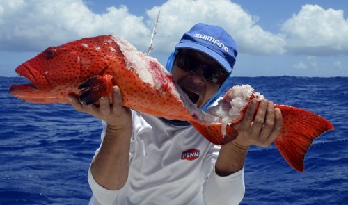 Babone coupée en pêche au jig par Denis - www.rodfishingclub.com - Rodrigues - Maurice - Océan Indien