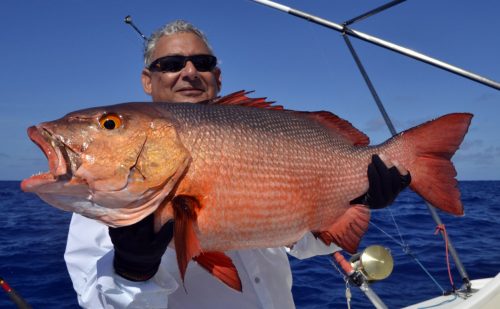Carpe rouge en pêche a l'appât pour Raian - www.rodfishingclub.com - Rodrigues - Maurice - Océan Indien