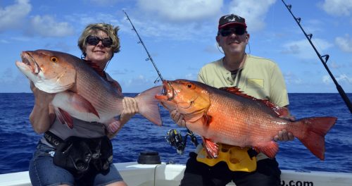 Carpe rouge (lutjanus bohar) en pêche a l'appât - www.rodfishingclub.com - Rodrigues - Maurice - Océan Indien
