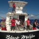 Combats simultanés - www.rodfishingclub.com - Rodrigues - Maurice - Océan Indien