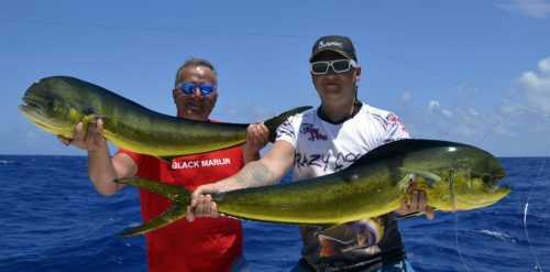 Double strike of dorados on trolling - www.rodfishingclub.com - Rodrigues - Mauritius - Indian Ocean