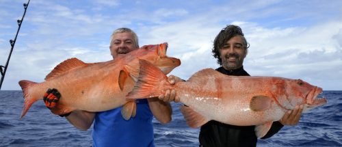 Double strike of red corail trout on jigging - www.rodfishingclub.com - Rodrigues - Mauritius - Indian Ocean