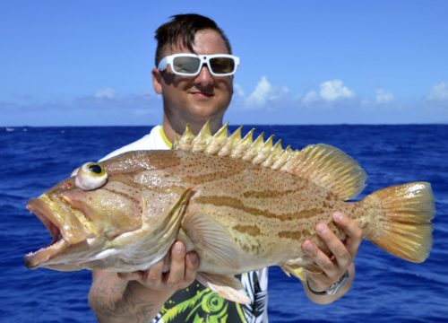 Epinephelus morrhua pris en pêche a l'appât par Marcin - www.rodfishingclub.com - Rodrigues - Maurice - Océan Indien