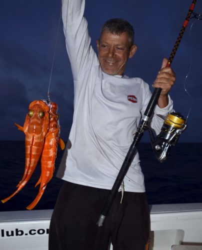 Good groupers on baiting by Denis - www.rodfishingclub.com - Rodrigues Island - Mauritius - Indian Ocean