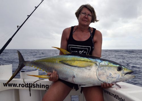 Magnifique thon jaune en pêche a la traîne par Armelle - www.rodfishingclub.com - Rodrigues - Maurice - Océan Indien