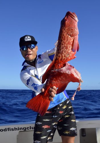 Red corail trout cut by shark on slow jigging - www.rodfishingclub.com - Rodrigues - Mauritius - Indian Ocean