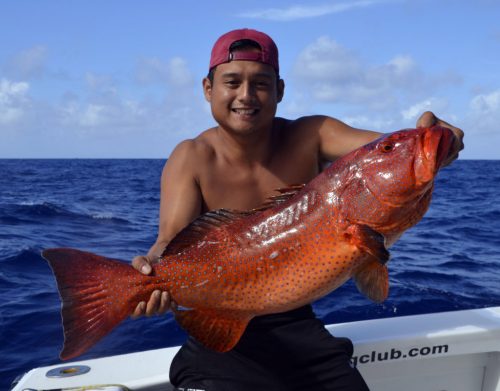 Red corail trout on jigging by Alex - www.rodfishingclub.com - Rodrigues Island - Mauritius - Indian Ocean