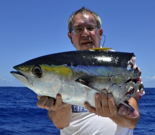 Thon jaune coupé par un requin en pêche a la traîne - www.rodfishingclub.com - Rodrigues - Maurice - Océan Indien