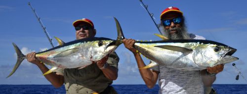 Thons jaunes en pêche a la traîne - www.rodfishingclub.com - Rodrigues - Maurice - Océan Indien