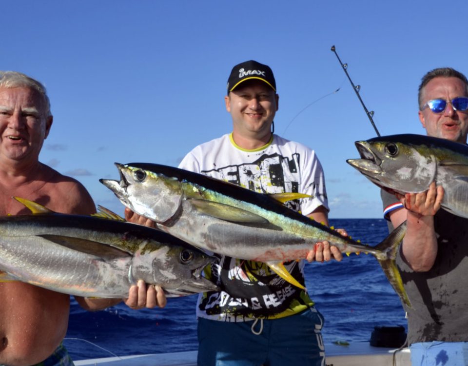 Triplé de thons jaunes en pêche a la traîne - www.rodfishingclub.com - Rodrigues - Maurice - Océan Indien