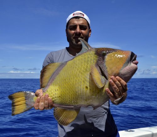 Baliste vert en pêche a l'appât - www.rodfishingclub.com - Rodrigues - Maurice - Océan Indien