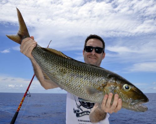 Jobfish on baiting by Ju - www.rodfishingclub.com - Rodrigues - Mauritius - Indian Ocean