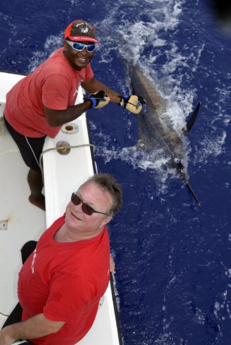 Marlin bleu en pêche a la traîne par Pierre - www.rodfishingclub.com - Rodrigues - Maurice - Océan Indien