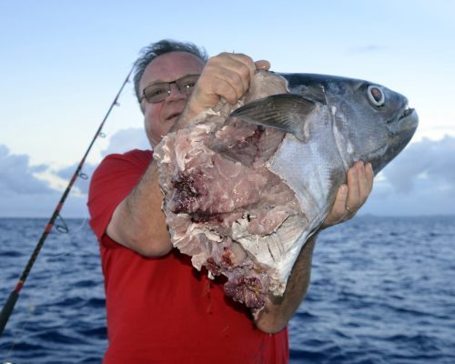 Nice doggy cut by shark on baiting - www.rodfishingclub.com - Rodrigues - Mauritius - Indian Ocean