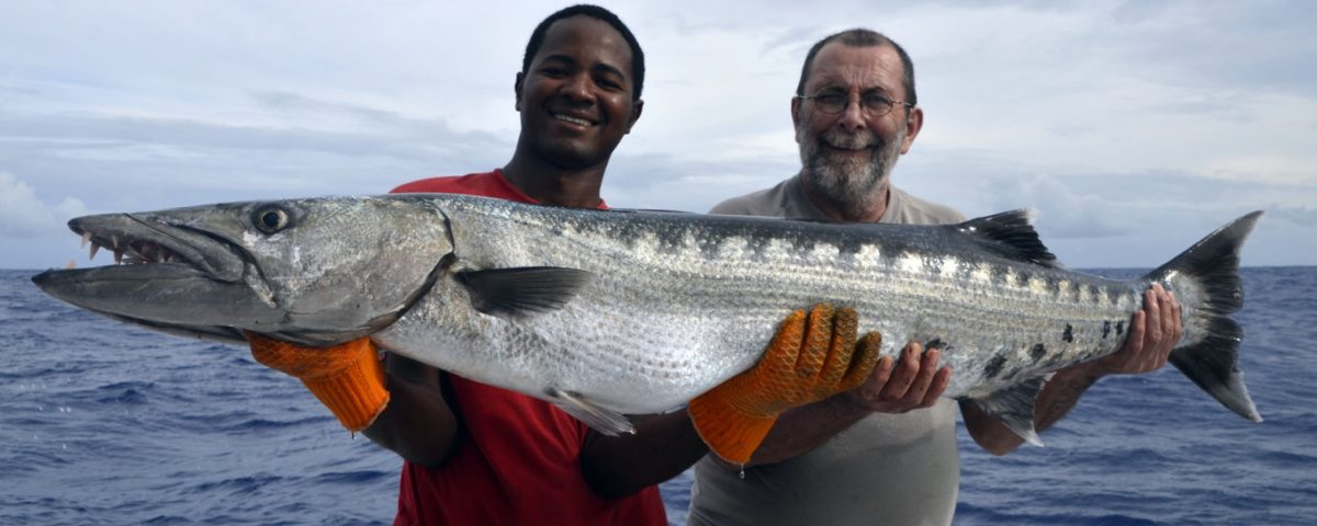 Big barracuda on baiting - www.rodfishingclub.com - Rodrigues - Mauritius - Indian Ocean