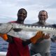 Big barracuda on baiting - www.rodfishingclub.com - Rodrigues - Mauritius - Indian Ocean