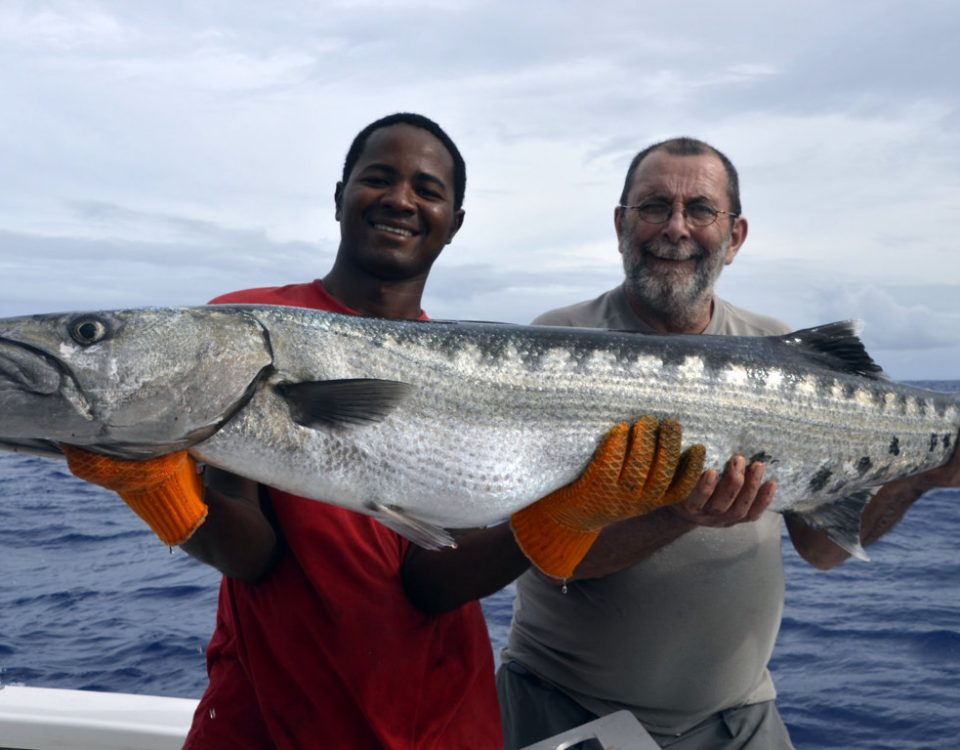 Big barracuda on baiting - www.rodfishingclub.com - Rodrigues - Mauritius - Indian Ocean