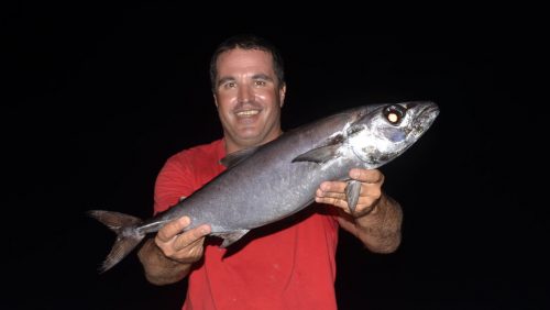 Butterfish on baiting - www.rodfishingclub.com - Rodrigues - Mauritius - Indian Ocean