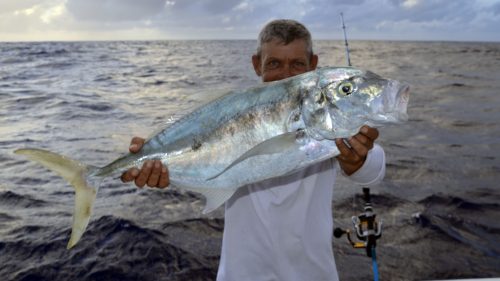 Carangue a tâches fauves prise en pêche au jig par Denis - www.rodfishingclub.com - Rodrigues - Maurice - Océan Indien