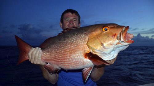 Carpe rouge en pêche a l'appât par JJ - www.rodfishingclub.com - Rodrigues - Maurice - Océan Indien