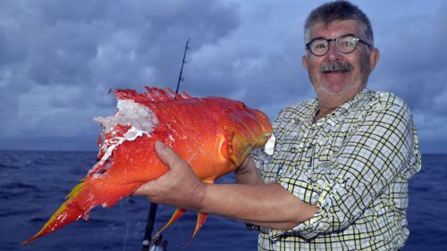 Croissant queue jaune coupé par un requin - www.rodfishingclub.com - Rodrigues - Maurice - Océan Indien