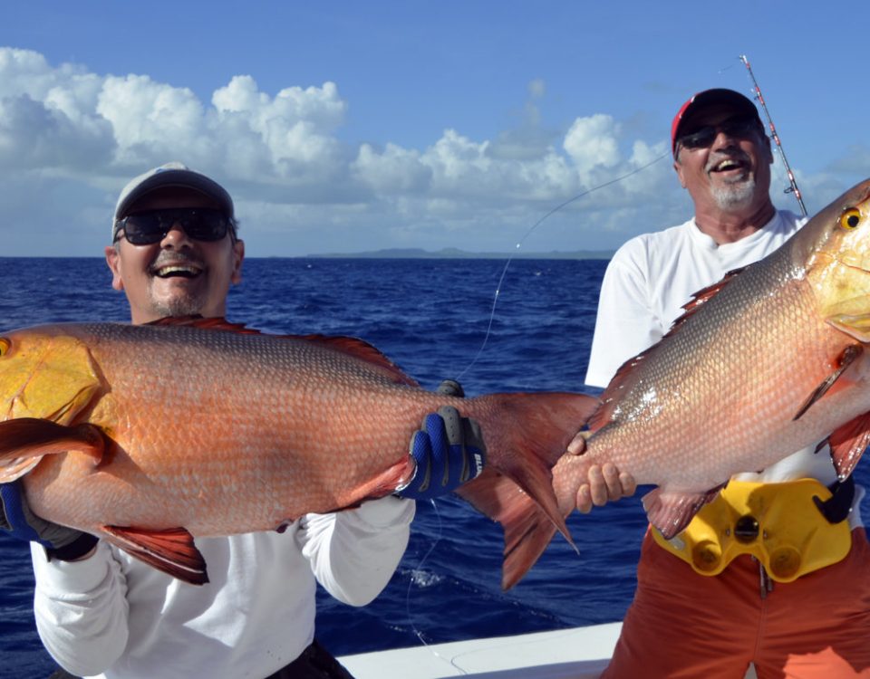 Doublé de carpes rouges en pêche a l'appât - www.rodfishingclub.com - Rodrigues - Maurice - Océan Indien