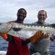 Gros barracuda en pêche a l'appât - www.rodfishingclub.com - Rodrigues - Maurice - Océan Indien