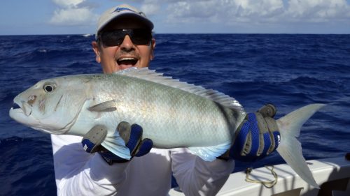 Jobfish on baiting - www.rodfishingclub.com - Rodrigues - Mauritius - Indian Ocean