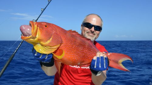 Moontail sea bass on baiting - www.rodfishingclub.com - Rodrigues - Mauritius - Indian Ocean