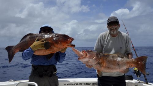 Mérou babones en pêche a l'appât - www.rodfishingclub.com - Rodrigues - Maurice - Océan Indien