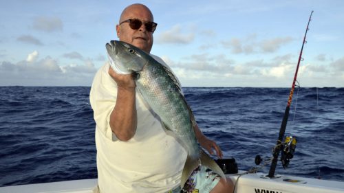 Poisson poulet en pêche a l'appât - www.rodfishingclub.com - Rodrigues - Maurice - Océan Indien